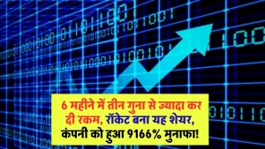 Multibagger Stock: 6 महीने में तीन गुने से ज्यादा कर दी रकम, रॉकेट बना यह शेयर, कंपनी को हुआ 9166% मुनाफा