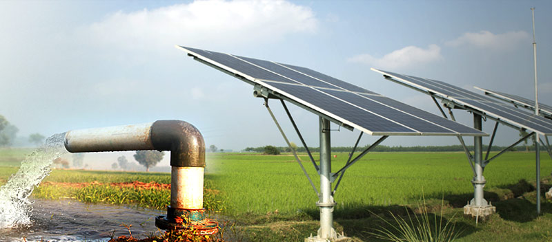 solar water pump in agriculture