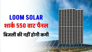 Loom Solar 550W सोलर पैनल का करें सिस्टम में इस्तेमाल, बिजली की झंझट होगी खत्म