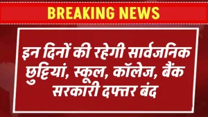 Public Holiday December 2024: इन दिनों की रहेगी सार्वजनिक छुट्टियां, स्कूल, कॉलेज, बैंक सरकारी दफ्तर बंद