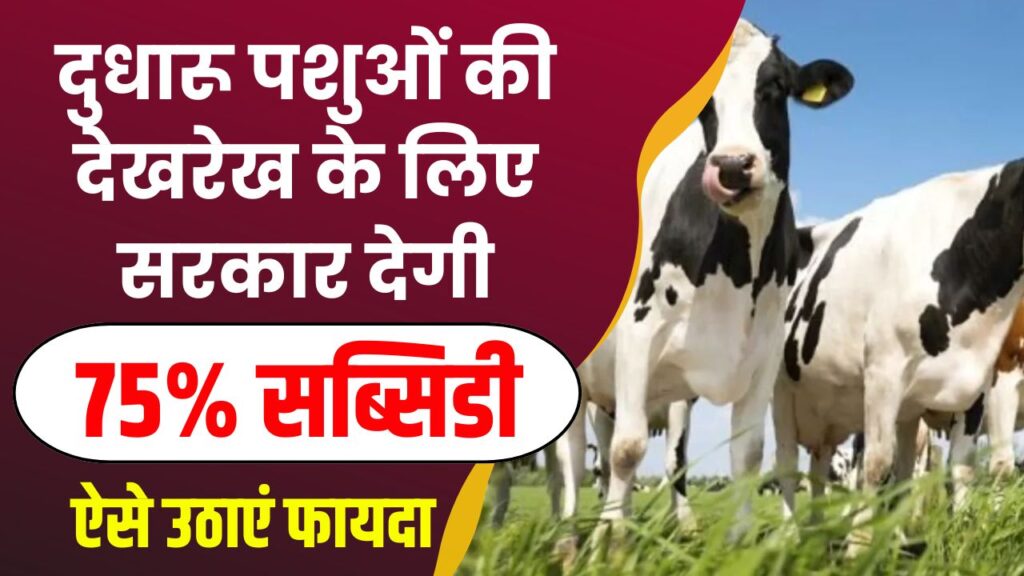 Dairy Cattle Insurance: पशुपालकों के लिए बड़ी खुशखबरी! दुधारू पशुओं का 75% खर्च उठाएगी सरकार