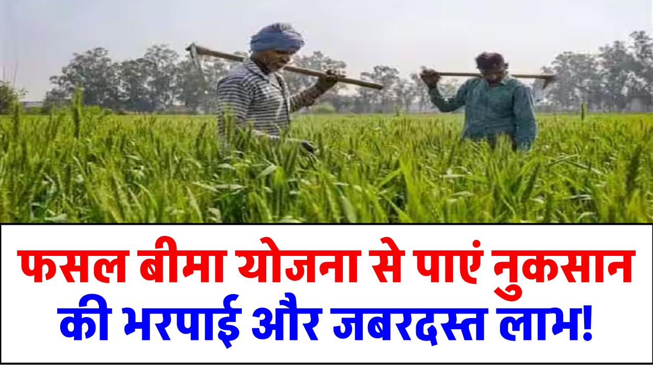 किसानों के लिए बड़ा मौका! फसल बीमा योजना से पाएं नुकसान की भरपाई और जबरदस्त लाभ!