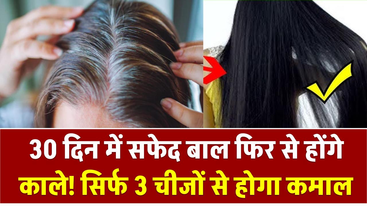 30 दिन में सफेद बाल फिर से होंगे काले! डॉक्टर सलीम का अनोखा नुस्खा, सिर्फ 3 चीजों से होगा कमाल