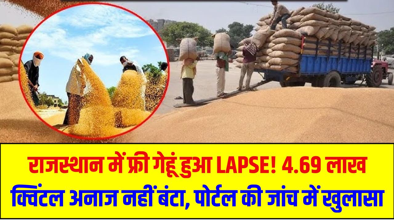 राजस्थान में फ्री गेहूं हुआ LAPSE! 4.69 लाख क्विंटल अनाज नहीं बंटा – पोर्टल की जांच में खुलासा