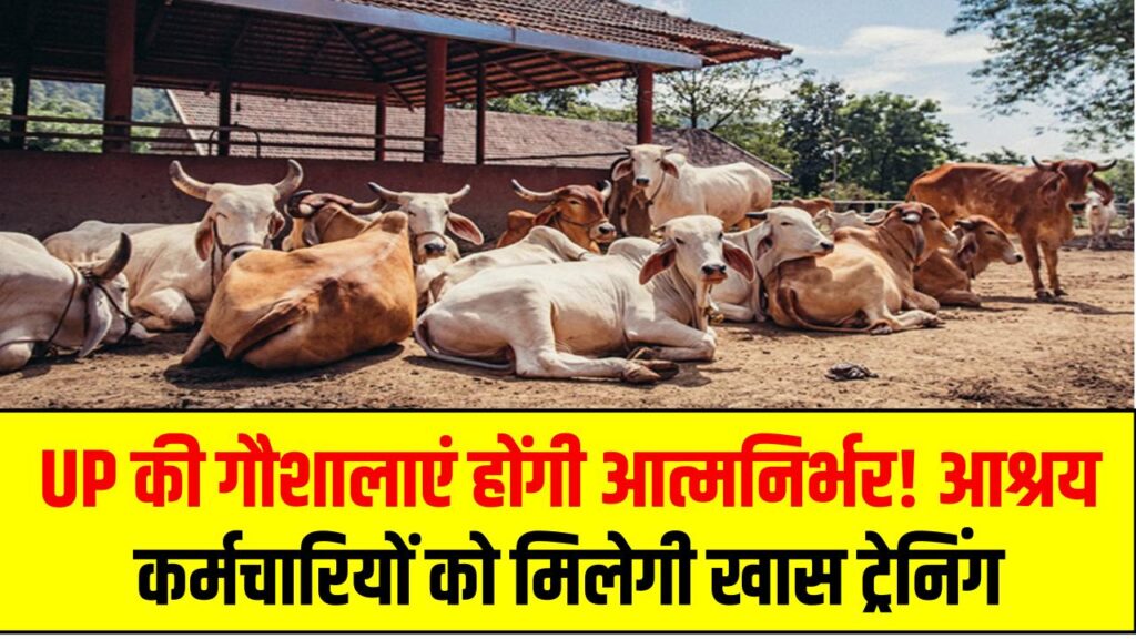 UP की गौशालाएं होंगी आत्मनिर्भर! आश्रय कर्मचारियों को मिलेगी खास ट्रेनिंग, जानिए योजना की पूरी डिटेल