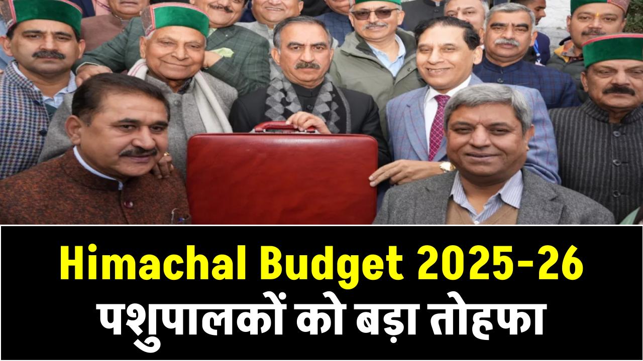 Himachal Budget 2025-26: पशुपालकों को बड़ा तोहफा, CM सुक्खू ने किसानों के लिए भी की बड़ी घोषणाएं