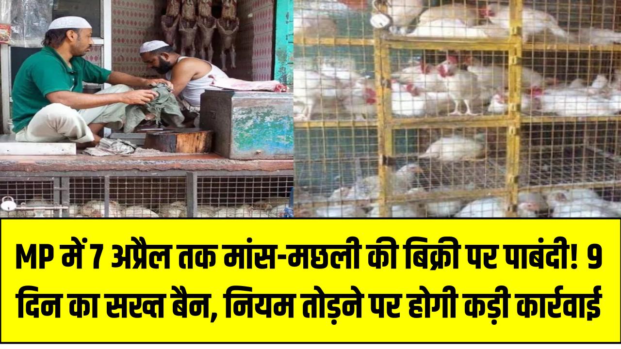 MP में 7 अप्रैल तक मांस-मछली की बिक्री पर पाबंदी! 9 दिन का सख्त बैन, नियम तोड़ने पर होगी कड़ी कार्रवाई – जानिए पूरा मामला