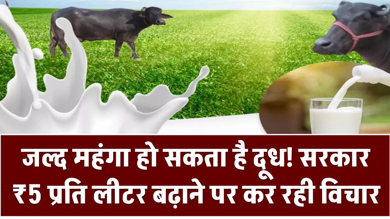 Milk Price Hike: जल्द महंगा हो सकता है दूध! सरकार ₹5 प्रति लीटर बढ़ाने पर कर रही विचार