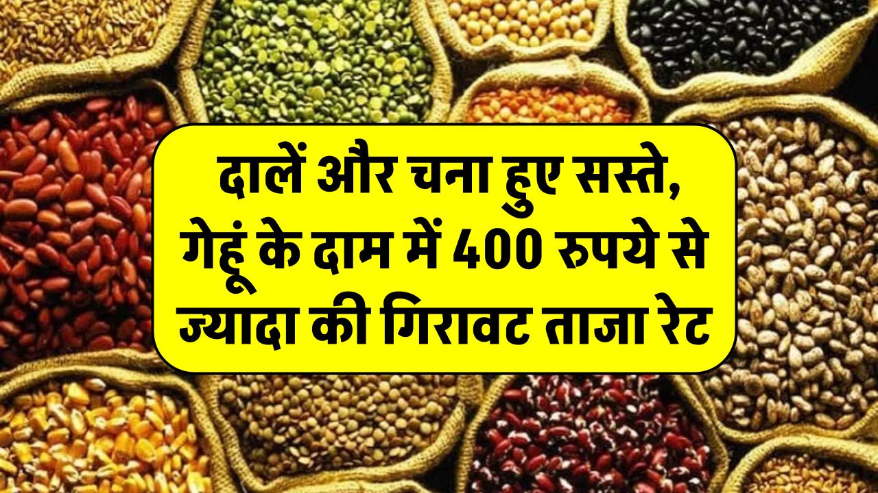 बड़ी खुशखबरी! दालें और चना हुए सस्ते, गेहूं के दाम में 400 रुपये से ज्यादा की गिरावट – अभी जानें ताजा रेट