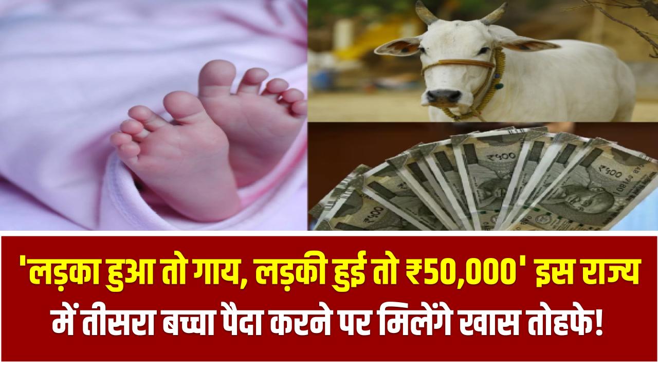 'लड़का हुआ तो गाय, लड़की हुई तो ₹50,000' – इस राज्य में तीसरा बच्चा पैदा करने पर मिलेंगे खास तोहफे!