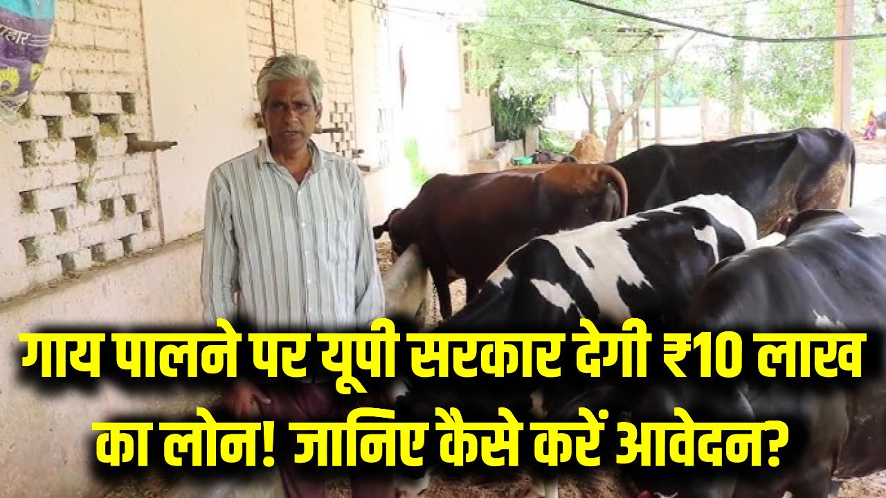 UP Farmers Loan Scheme: गाय पालने पर यूपी सरकार देगी ₹10 लाख का लोन! जानिए कैसे करें आवेदन?