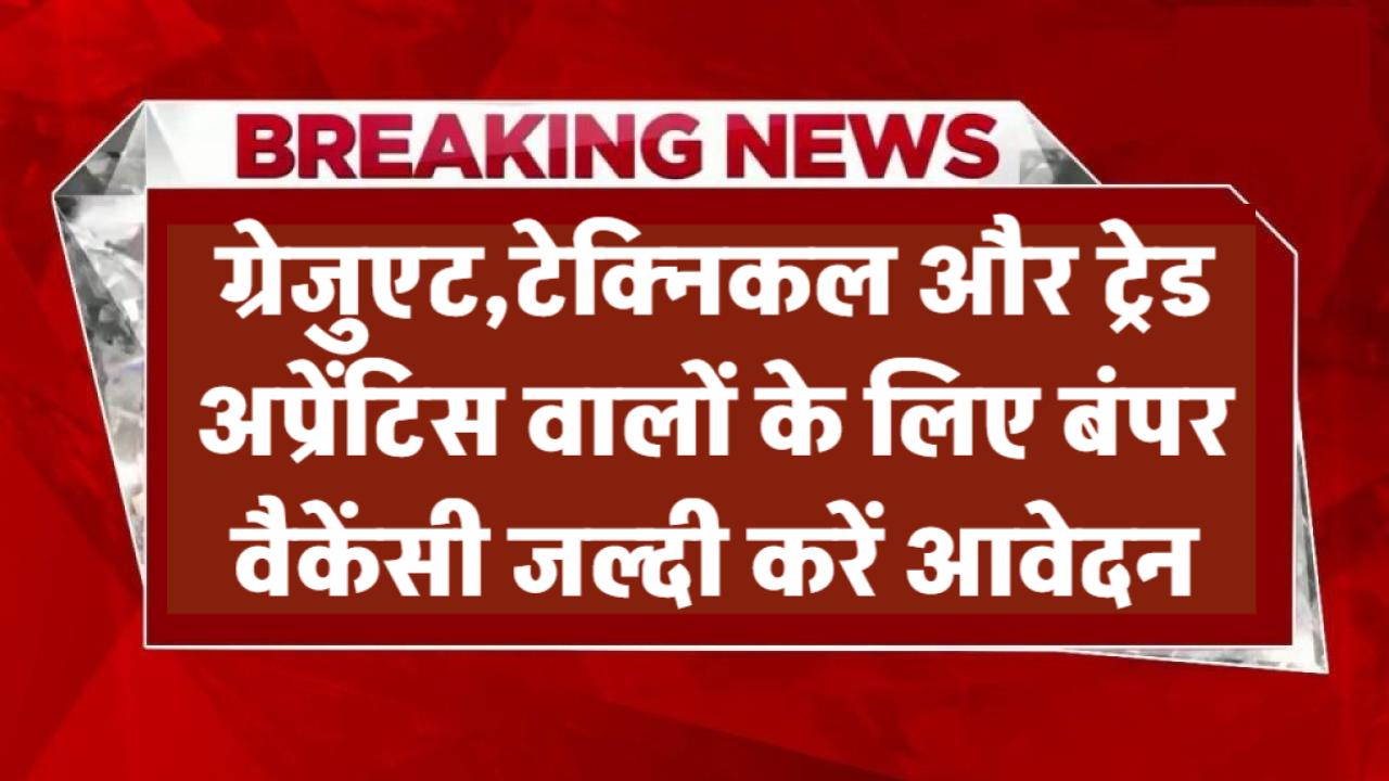 IOCL Apprentice Recruitment 2025: ग्रेजुएट, टेक्निकल और ट्रेड अप्रेंटिस के लिए बंपर वैकेंसी! जल्दी करें आवेदन