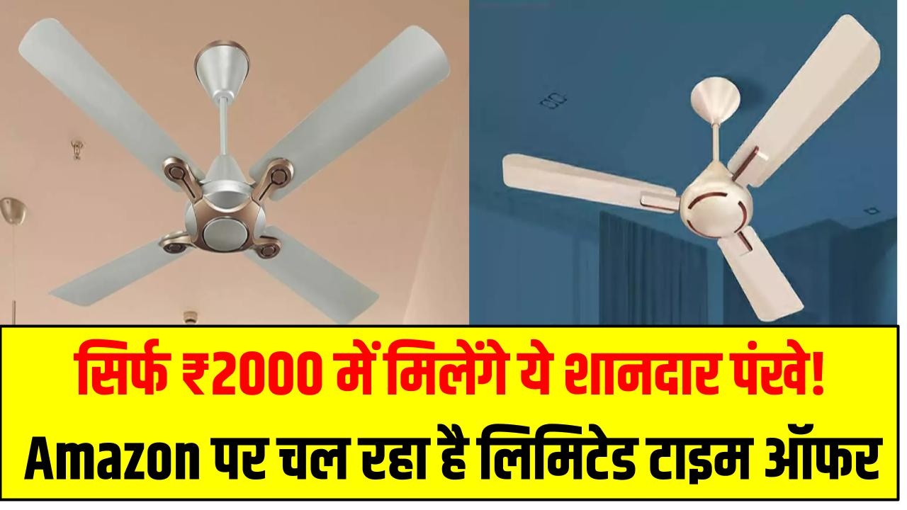 सिर्फ ₹2000 में मिलेंगे ये शानदार पंखे! Amazon पर चल रहा है लिमिटेड टाइम ऑफर