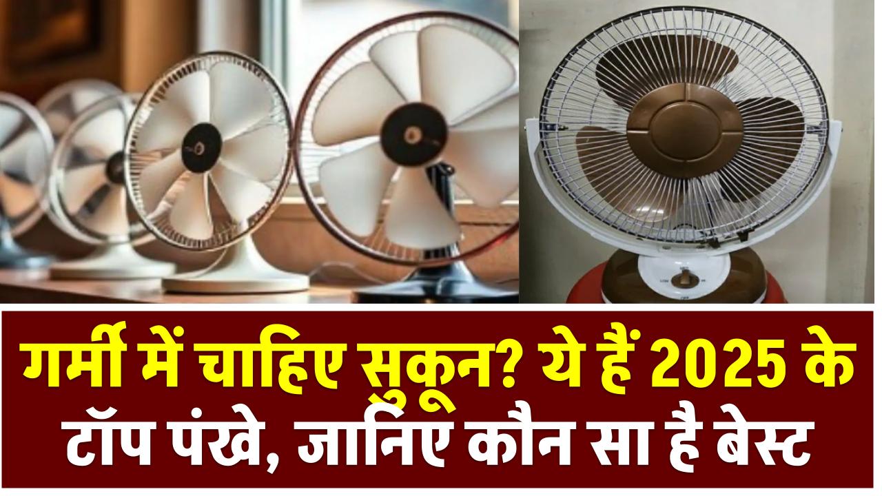 Best Fan Brands: गर्मी में चाहिए सुकून? ये हैं 2025 के टॉप पंखे, जानिए कौन सा है बेस्ट