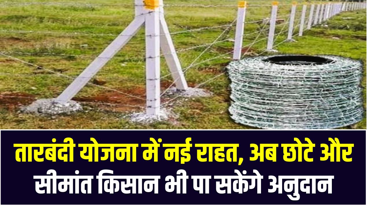 तारबंदी योजना में नई राहत – अब छोटे और सीमांत किसान भी पा सकेंगे अनुदान, आवेदन की प्रक्रिया जानें
