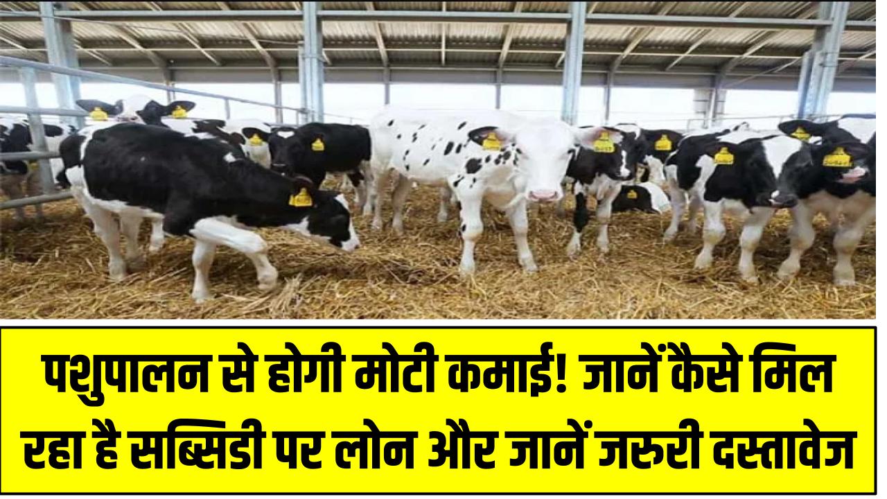 पशुपालन से होगी मोटी कमाई! जानें कैसे मिल रहा है सब्सिडी पर लोन और किन दस्तावेजों की होगी जरूरत