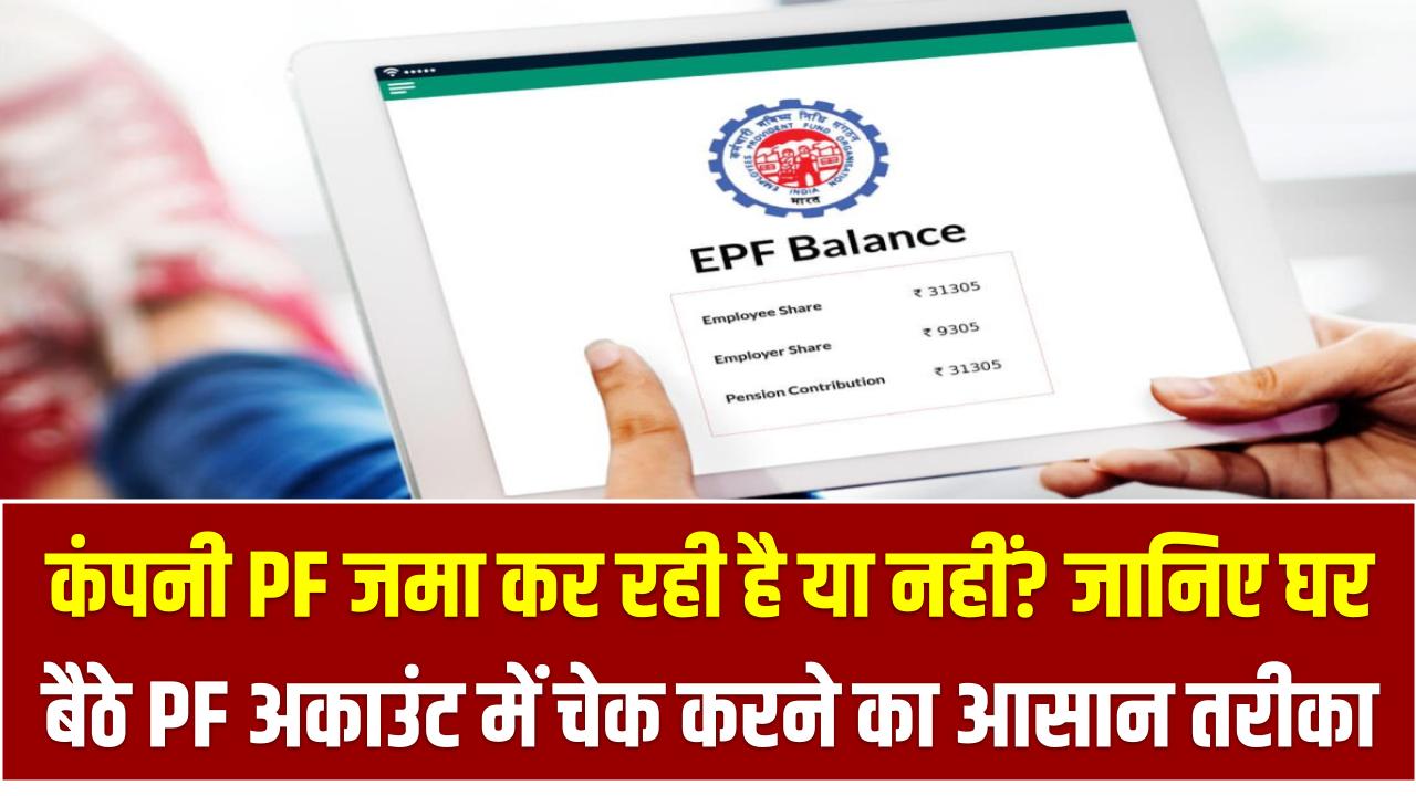 कंपनी PF जमा कर रही है या नहीं? जानिए घर बैठे PF अकाउंट में चेक करने का सबसे आसान तरीका