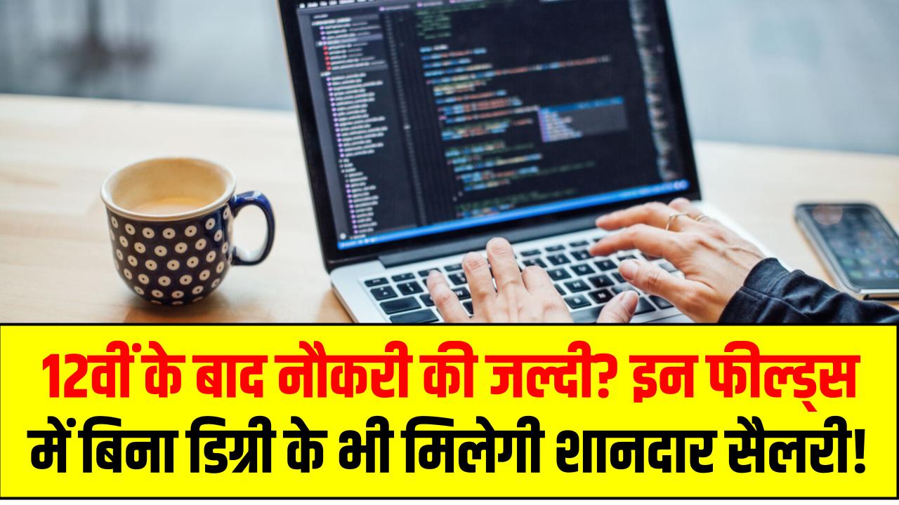 12वीं के बाद नौकरी की जल्दी? इन फील्ड्स में बिना डिग्री के भी मिलेगी शानदार सैलरी!