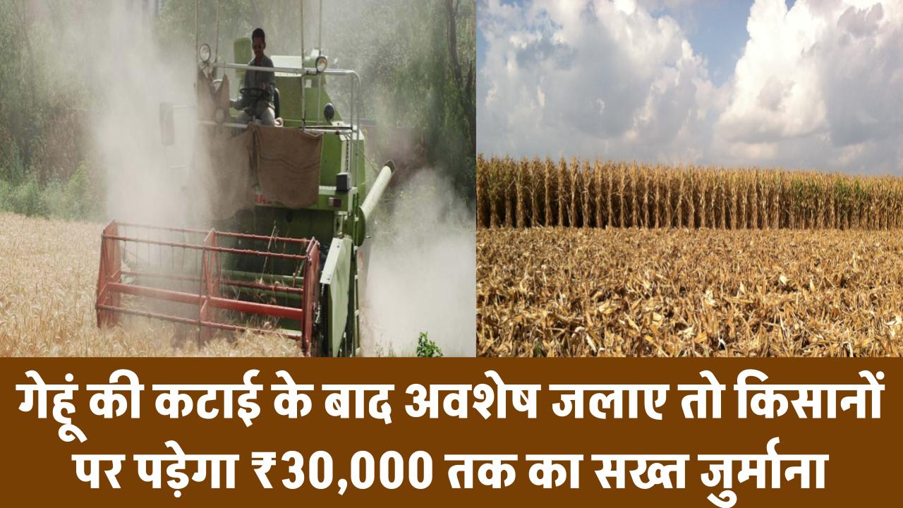 गेहूं की कटाई के बाद अवशेष जलाए तो लगेगा ₹30,000 तक का जुर्माना! किसानों के लिए सख्त चेतावनी