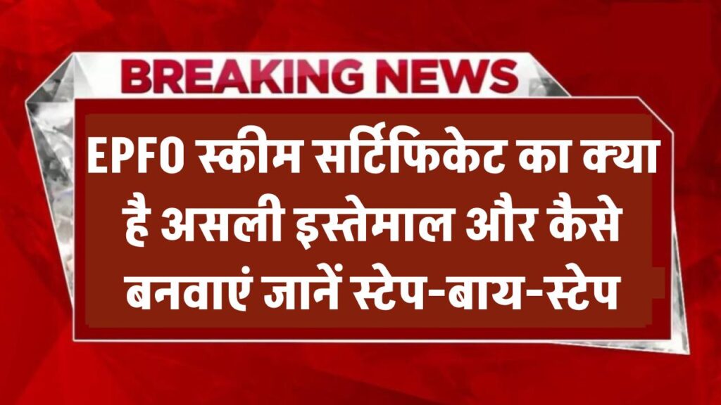 EPFO Scheme Certificate: क्या है इसका असली इस्तेमाल और कैसे बनवाएं? जानिए पूरी प्रक्रिया स्टेप-बाय-स्टेप