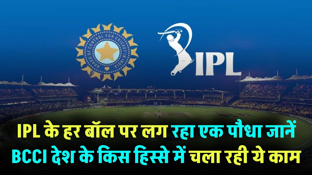 IPL 2025: हर डॉट बॉल पर लग रहा एक पौधा! जानें BCCI देश के किस हिस्से में चला रही ये खास मुहिम