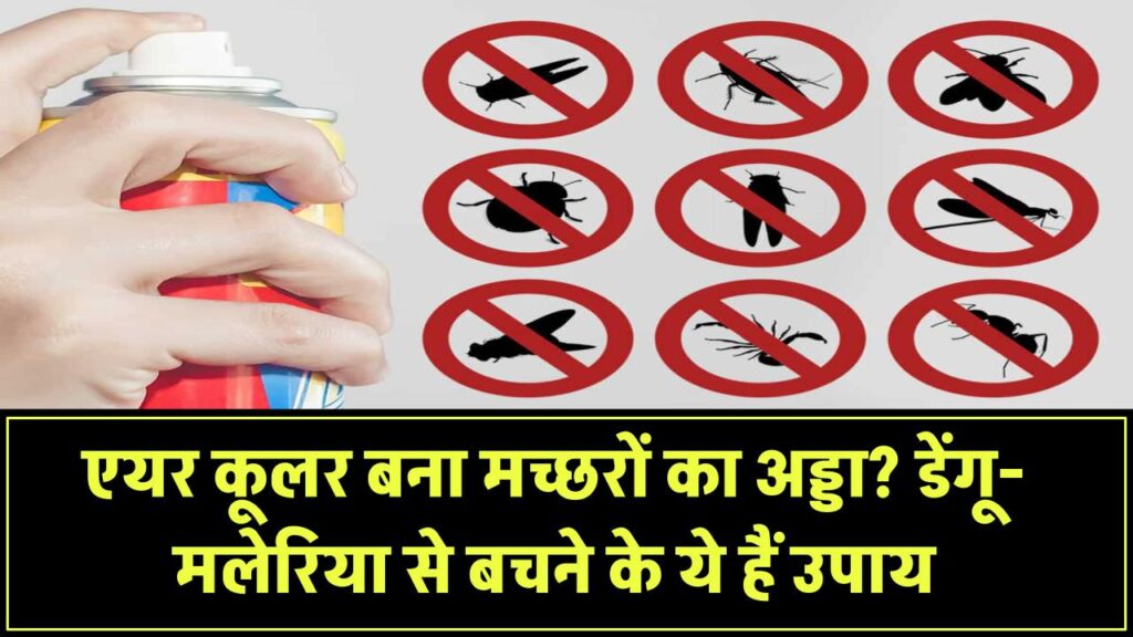क्या आपका एयर कूलर मच्छरों का अड्डा बन गया है? डेंगू-मलेरिया से बचने के लिए अपनाएं ये उपाय