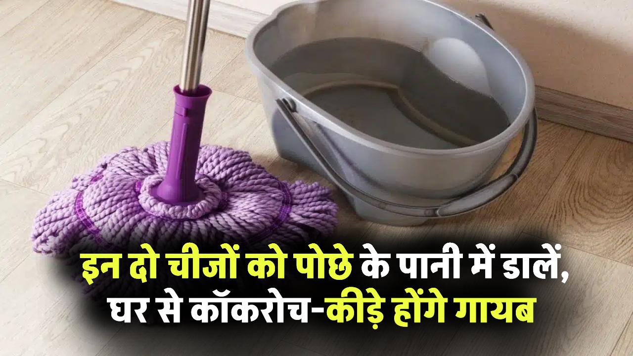 Home Cleaning Hack: इन दो चीजों को पोछे के पानी में डालें, घर से कॉकरोच-कीड़े होंगे गायब