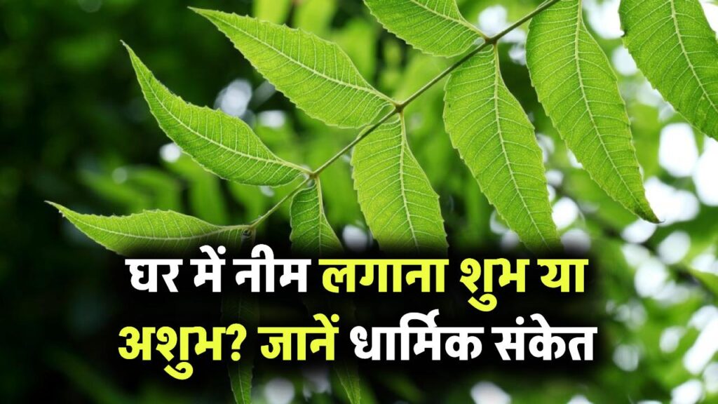 घर में नीम का पेड़ लगाना शुभ या अशुभ? जानिए इसके पीछे छिपा संकेत और धार्मिक मान्यता