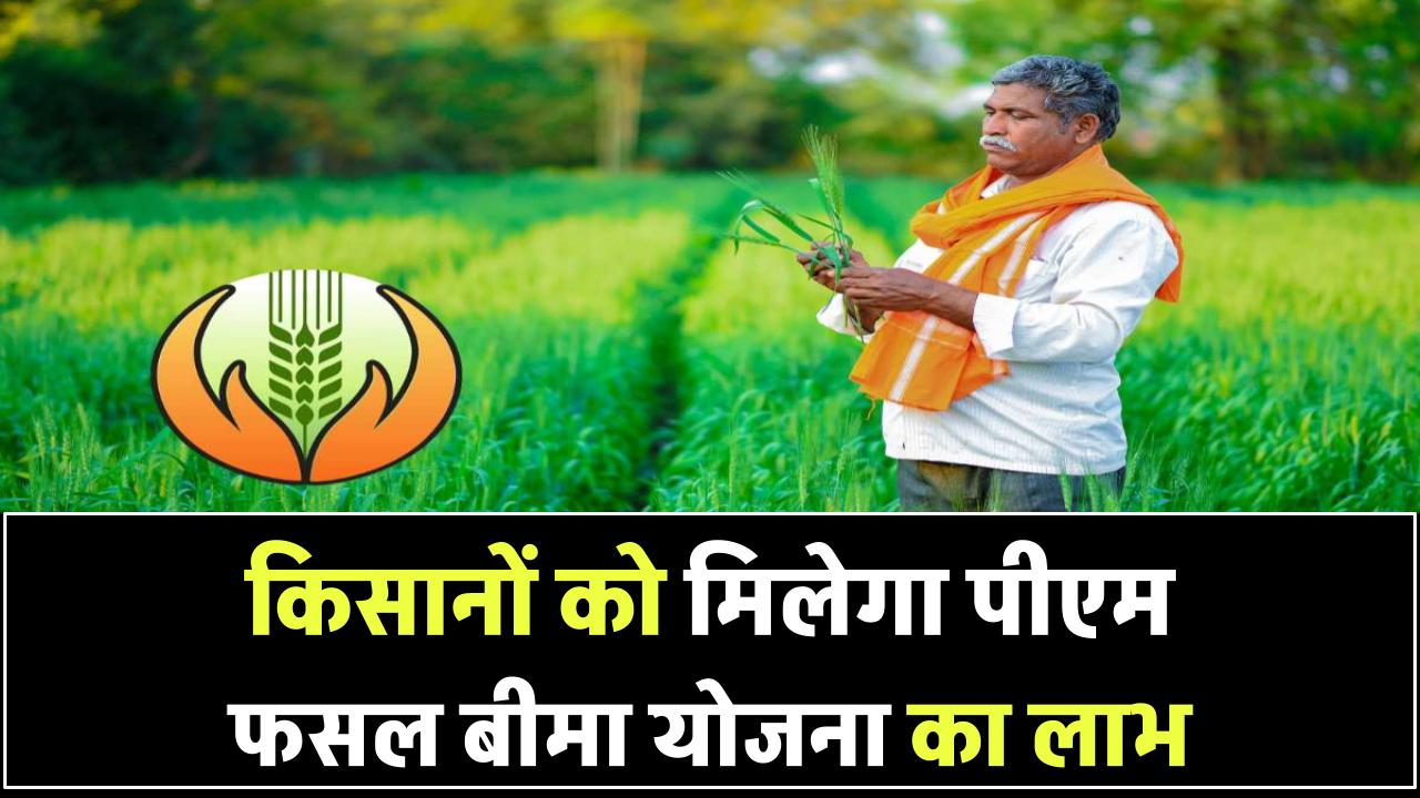 PM Fasal Bima Yojana: जानें किन किसानों को मिलता है पीएम फसल बीमा योजना का लाभ और क्या हैं इसके नियम