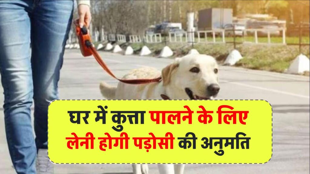 पालतू कुत्ता पालना हुआ मुश्किल! अब 10 पड़ोसियों की सहमति अनिवार्य, नगर निगम का नया फरमान