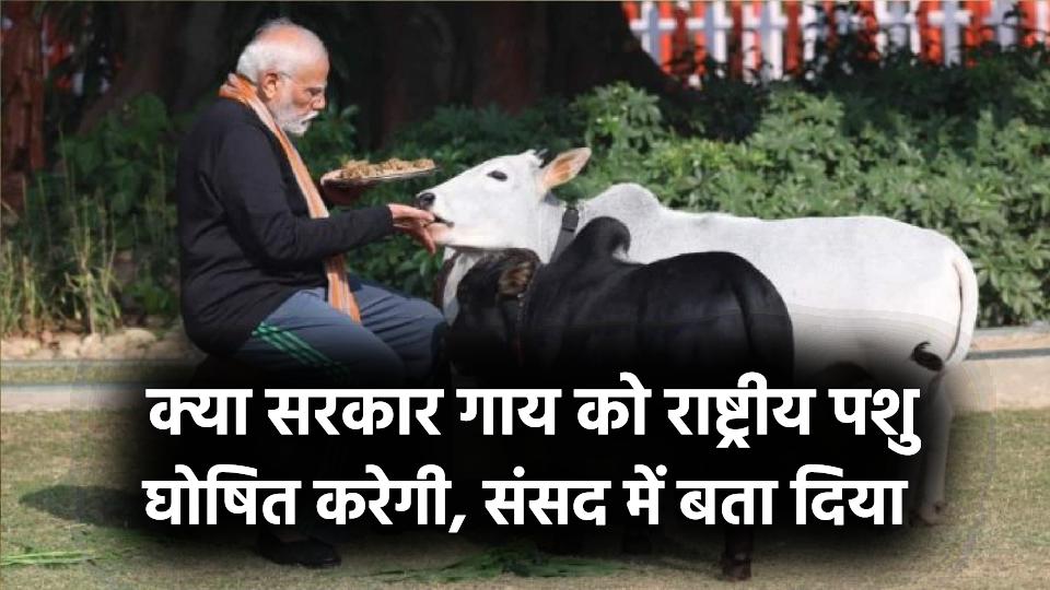 Parliament: सरकार गाय को राष्ट्रीय पशु करेगी घोषित? केंद्रीय पशुपालन मंत्री ने संसद में बता दिया